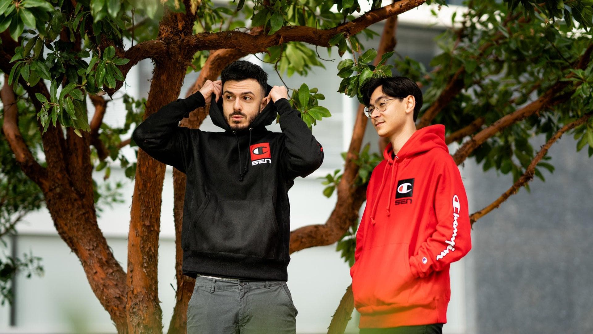 Article background image